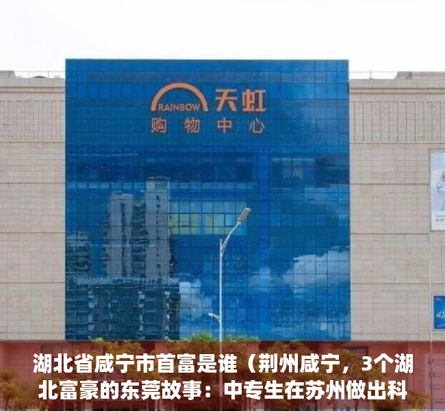 湖北省咸宁市首富是谁（荆州咸宁，3个湖北富豪的东莞故事：中专生在苏州做出科创板公司）