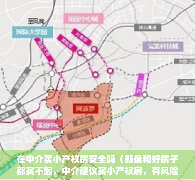 在中介买小产权房安全吗（新盘和好房子都买不起，中介建议买小产权房，有风险吗）