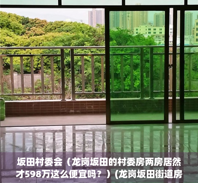 坂田村委会（龙岗坂田的村委房两房居然才598万这么便宜吗？）(龙岗坂田街道房价)