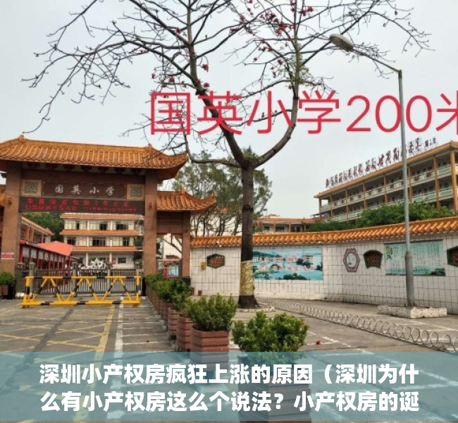 深圳小产权房疯狂上涨的原因（深圳为什么有小产权房这么个说法？小产权房的诞生与成长！）