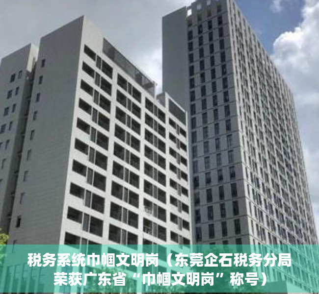 税务系统巾帼文明岗（东莞企石税务分局荣获广东省“巾帼文明岗”称号）