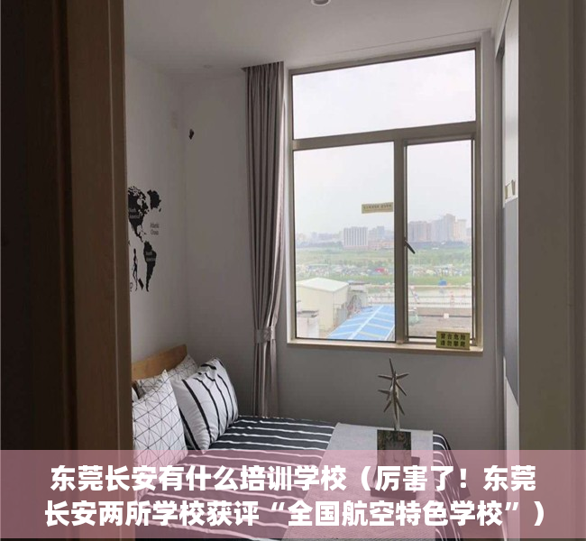 东莞长安有什么培训学校（厉害了！东莞长安两所学校获评“全国航空特色学校”）