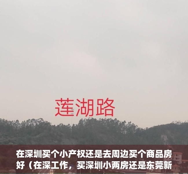 在深圳买个小产权还是去周边买个商品房好（在深工作，买深圳小两房还是东莞新房？）