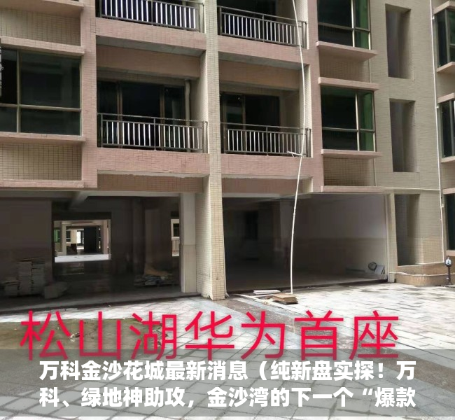 万科金沙花城最新消息（纯新盘实探！万科、绿地神助攻，金沙湾的下一个“爆款”将会是谁）