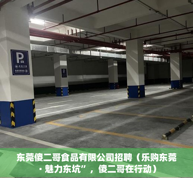 东莞傻二哥食品有限公司招聘（乐购东莞 · 魅力东坑”，傻二哥在行动）