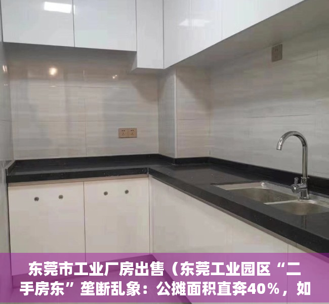 东莞市工业厂房出售（东莞工业园区“二手房东”垄断乱象：公摊面积直奔40％，如何给制造业创空间？）