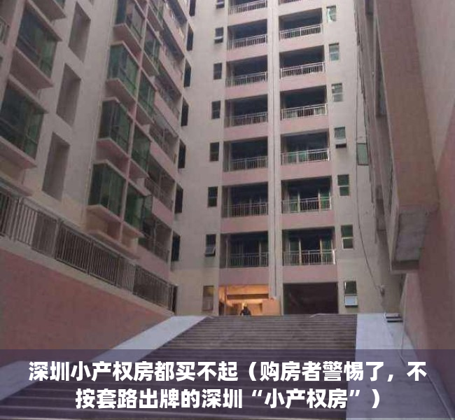 深圳小产权房都买不起（购房者警惕了，不按套路出牌的深圳“小产权房”）