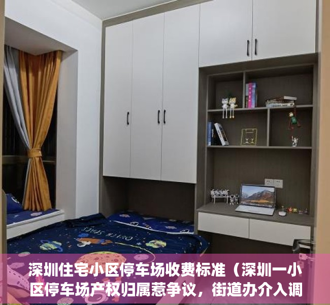 深圳住宅小区停车场收费标准（深圳一小区停车场产权归属惹争议，街道办介入调解）