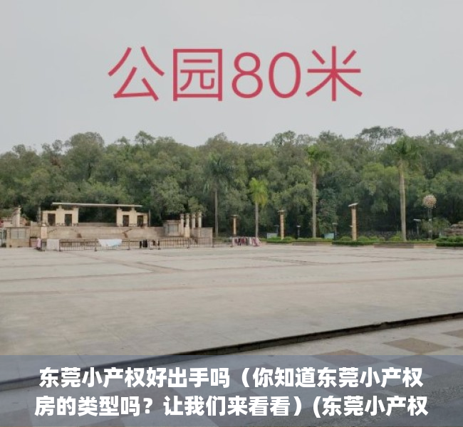 东莞小产权好出手吗（你知道东莞小产权房的类型吗？让我们来看看）(东莞小产权房值得购买吗)