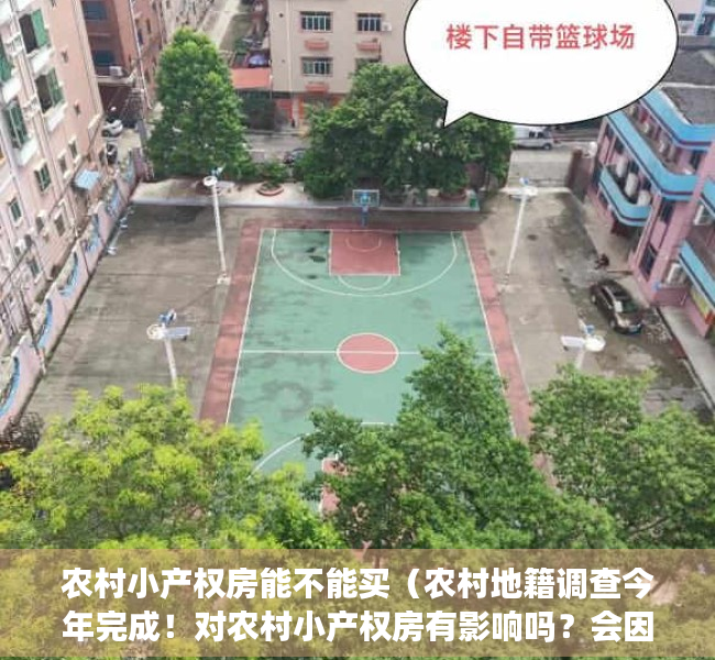 农村小产权房能不能买（农村地籍调查今年完成！对农村小产权房有影响吗？会因此转正吗？）