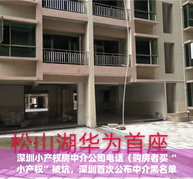 深圳小产权房中介公司电话（购房者买“小产权”被坑，深圳首次公布中介黑名单）