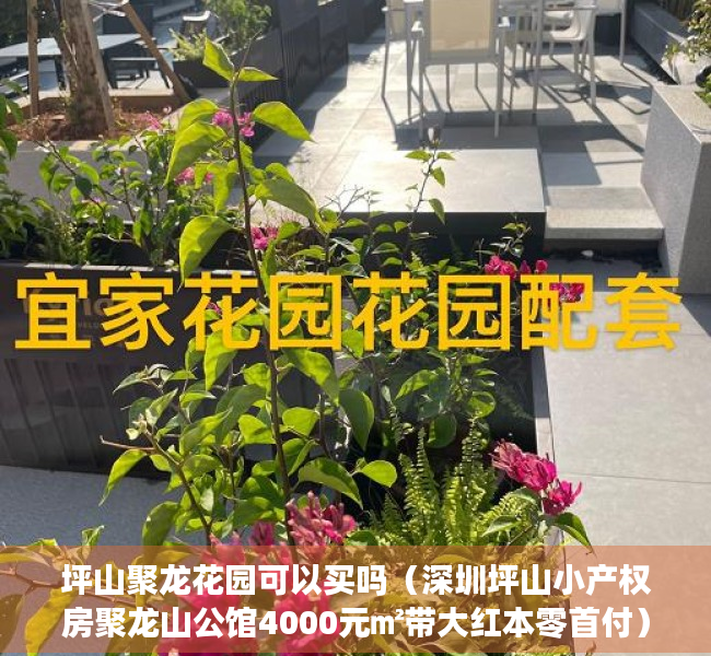 坪山聚龙花园可以买吗（深圳坪山小产权房聚龙山公馆4000元㎡带大红本零首付）