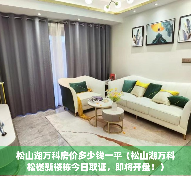 松山湖万科房价多少钱一平（松山湖万科松樾新楼栋今日取证，即将开盘！）