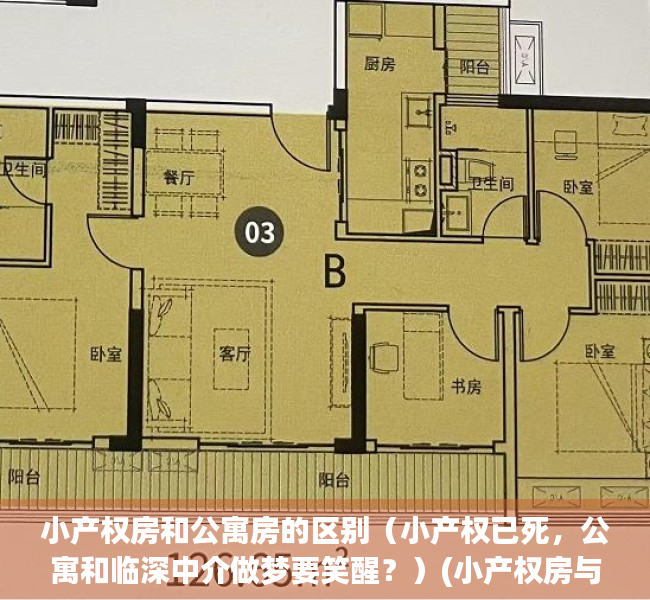 小产权房和公寓房的区别（小产权已死，公寓和临深中介做梦要笑醒？）(小产权房与公寓)