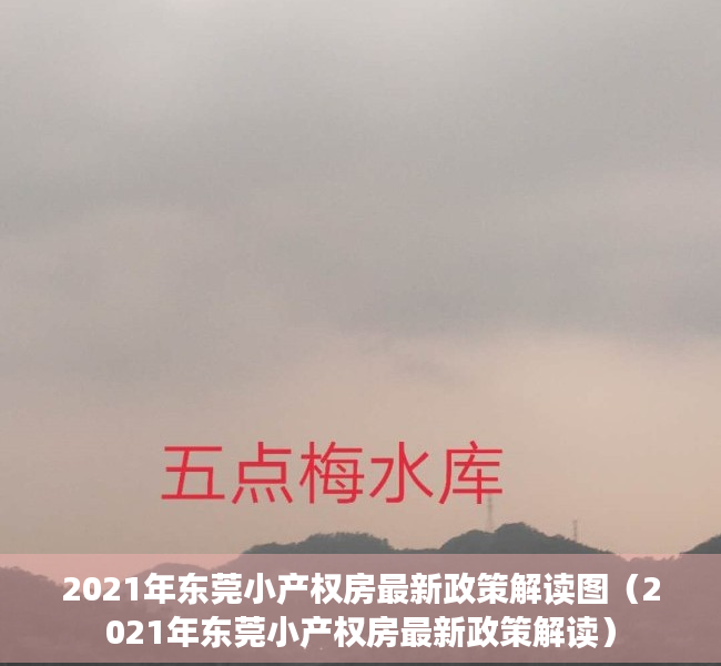 2021年东莞小产权房最新政策解读图（2021年东莞小产权房最新政策解读）