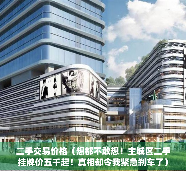 二手交易价格（想都不敢想！主城区二手挂牌价五千起！真相却令我紧急刹车了）