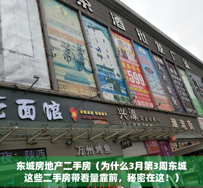 东城房地产二手房（为什么3月第3周东城这些二手房带看量靠前，秘密在这！）