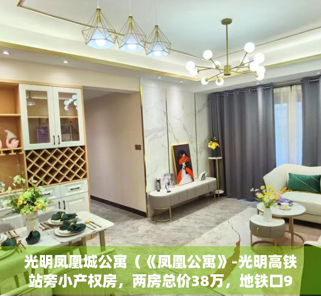 光明凤凰城公寓（《凤凰公寓》-光明高铁站旁小产权房，两房总价38万，地铁口900米，原始户型，带天然气，楼下停车场）