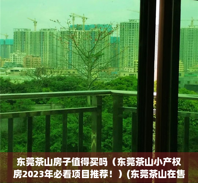 东莞茶山房子值得买吗（东莞茶山小产权房2023年必看项目推荐！）(东莞茶山在售新楼盘房价)