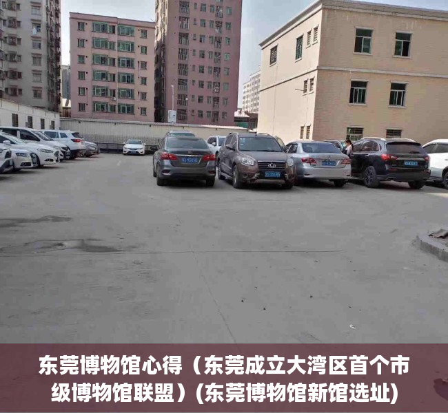 东莞博物馆心得（东莞成立大湾区首个市级博物馆联盟）(东莞博物馆新馆选址)