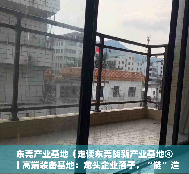 东莞产业基地（走读东莞战新产业基地④丨高端装备基地：龙头企业落子，“链”造一流产业）