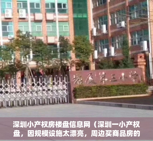 深圳小产权房楼盘信息网（深圳一小产权盘，因规模设施太漂亮，周边买商品房的都来围观）