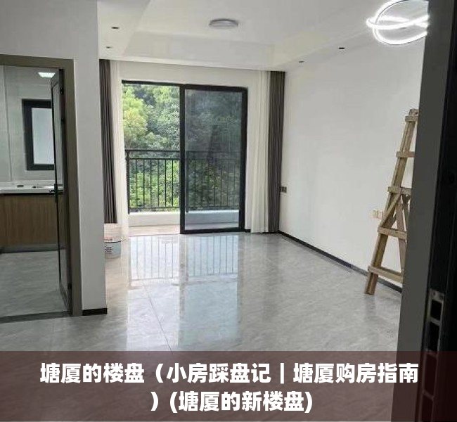 塘厦的楼盘（小房踩盘记｜塘厦购房指南）(塘厦的新楼盘)