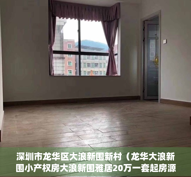 深圳市龙华区大浪新围新村（龙华大浪新围小产权房大浪新围雅居20万一套起房源真实吗？）