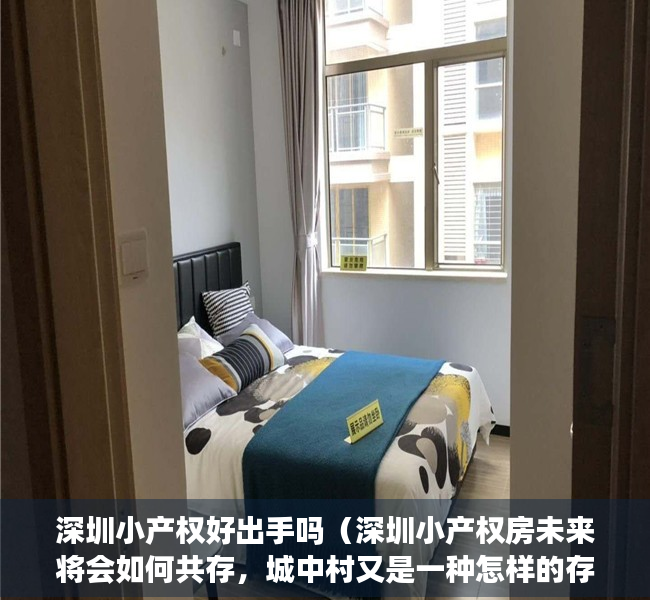 深圳小产权好出手吗（深圳小产权房未来将会如何共存，城中村又是一种怎样的存在？）