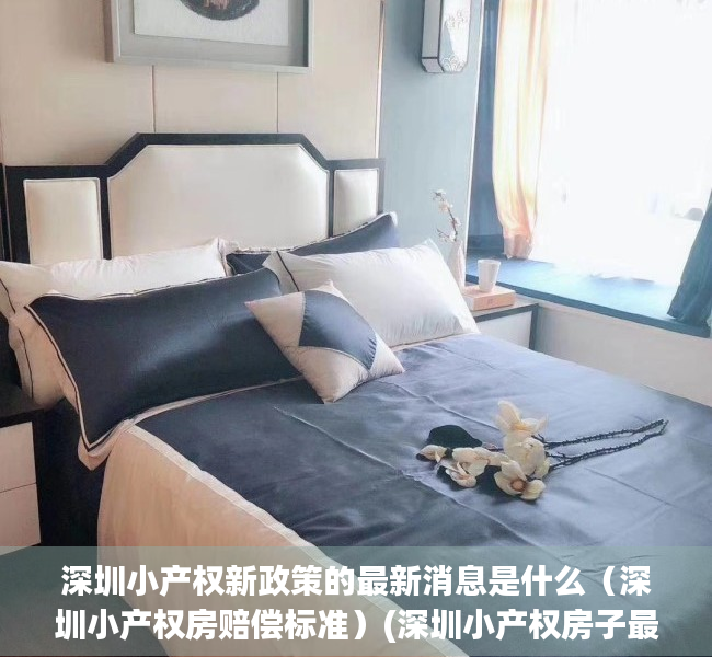 深圳小产权新政策的最新消息是什么（深圳小产权房赔偿标准）(深圳小产权房子最新政策2021)