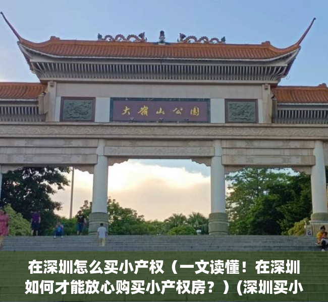 在深圳怎么买小产权（一文读懂！在深圳如何才能放心购买小产权房？）(深圳买小产权房怎么找房源)