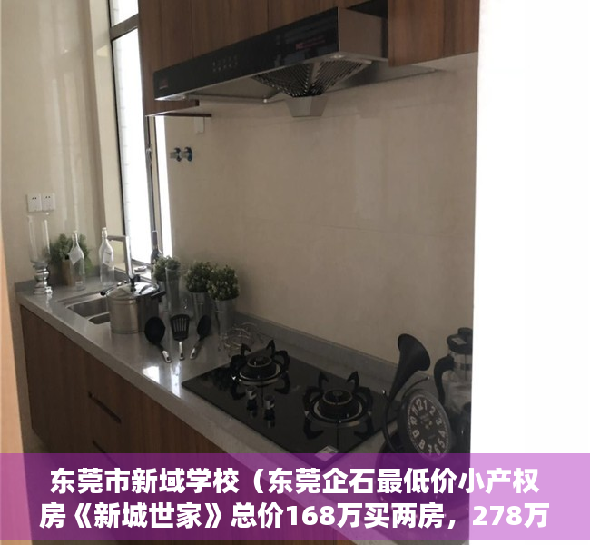 东莞市新域学校（东莞企石最低价小产权房《新城世家》总价168万买两房，278万买三房，首付8万买房）