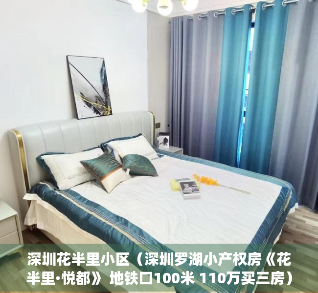 深圳花半里小区（深圳罗湖小产权房《花半里·悦都》 地铁口100米 110万买三房）