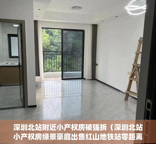 深圳北站附近小产权房被强拆（深圳北站小产权房绿景豪庭出售红山地铁站零距离）