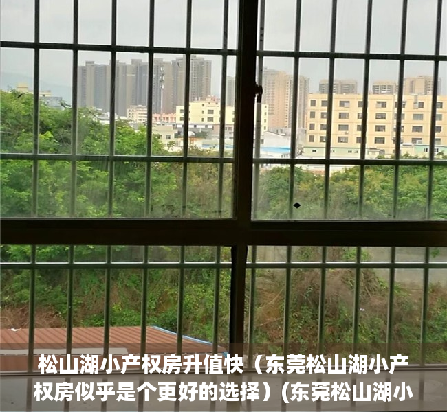 松山湖小产权房升值快（东莞松山湖小产权房似乎是个更好的选择）(东莞松山湖小产权房有哪些)