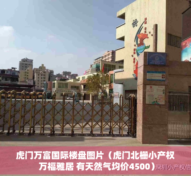 虎门万富国际楼盘图片（虎门北栅小产权 万福雅居 有天然气均价4500）