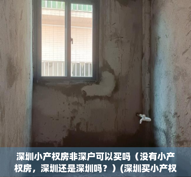 深圳小产权房非深户可以买吗（没有小产权房，深圳还是深圳吗？）(深圳买小产权房需要深户吗)