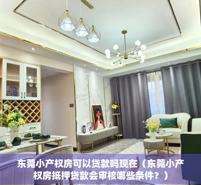 东莞小产权房可以贷款吗现在（东莞小产权房抵押贷款会审核哪些条件？）