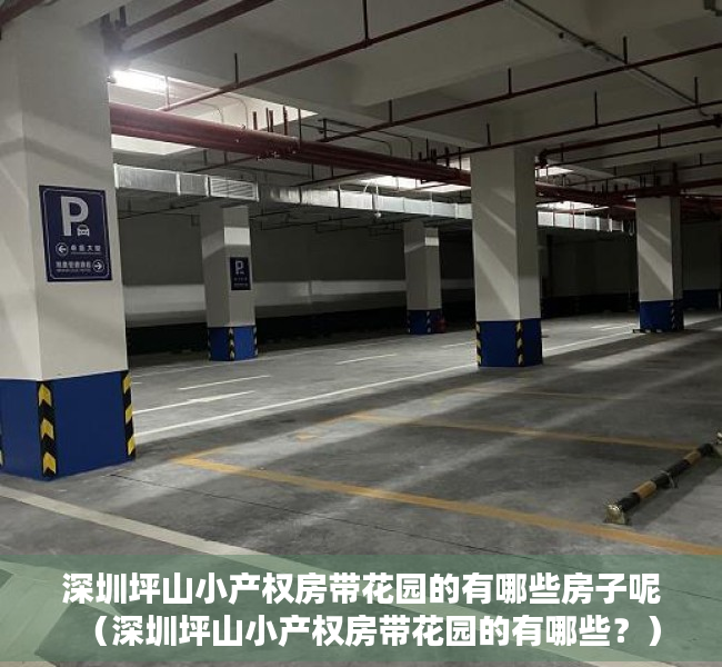 深圳坪山小产权房带花园的有哪些房子呢（深圳坪山小产权房带花园的有哪些？）