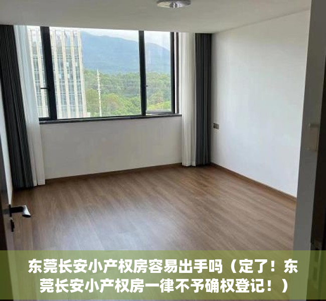 东莞长安小产权房容易出手吗（定了！东莞长安小产权房一律不予确权登记！）