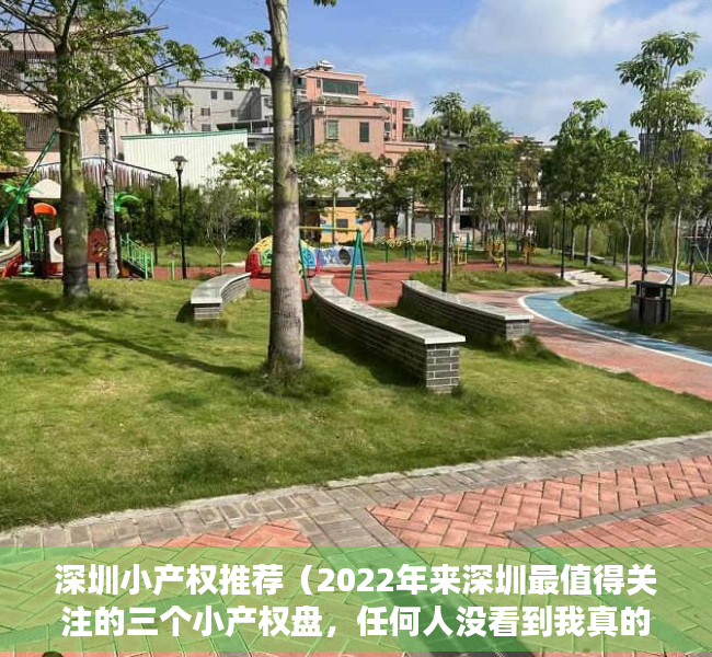 深圳小产权推荐（2022年来深圳最值得关注的三个小产权盘，任何人没看到我真的会伤心好吧！）