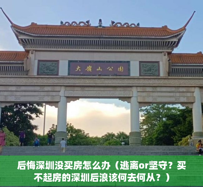 后悔深圳没买房怎么办（逃离or坚守？买不起房的深圳后浪该何去何从？）