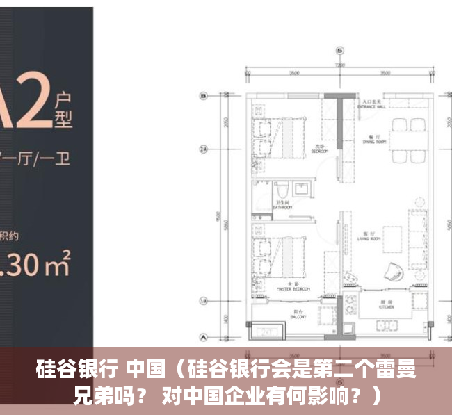硅谷银行 中国（硅谷银行会是第二个雷曼兄弟吗？ 对中国企业有何影响？）