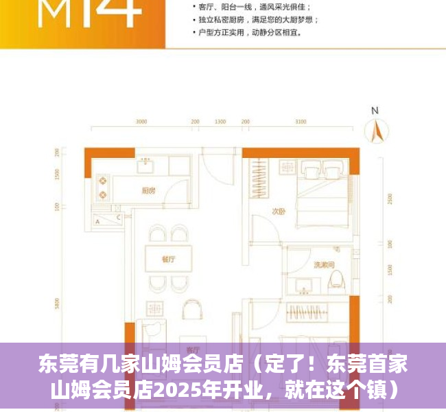 东莞有几家山姆会员店（定了！东莞首家山姆会员店2025年开业，就在这个镇）