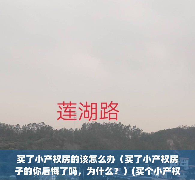 买了小产权房的该怎么办（买了小产权房子的你后悔了吗，为什么？）(买个小产权房子后悔了)
