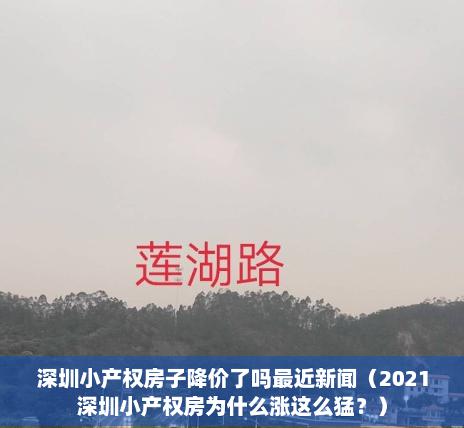 深圳小产权房子降价了吗最近新闻（2021深圳小产权房为什么涨这么猛？）