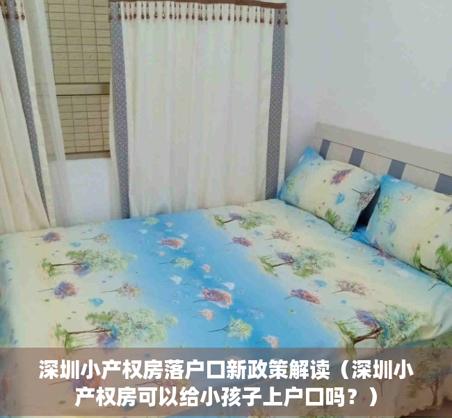 深圳小产权房落户口新政策解读（深圳小产权房可以给小孩子上户口吗？）