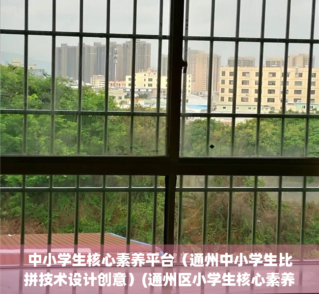 中小学生核心素养平台（通州中小学生比拼技术设计创意）(通州区小学生核心素养提升手册答案)