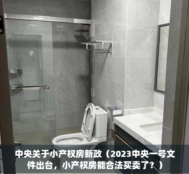 中央关于小产权房新政（2023中央一号文件出台，小产权房能合法买卖了？）