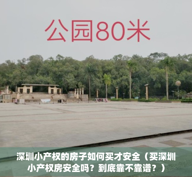 深圳小产权的房子如何买才安全（买深圳小产权房安全吗？到底靠不靠谱？）